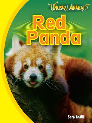 cover image of Red Panda